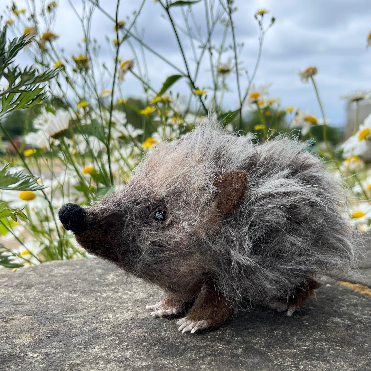 Hedgehog Needle Felt Material Pack - The Makerss