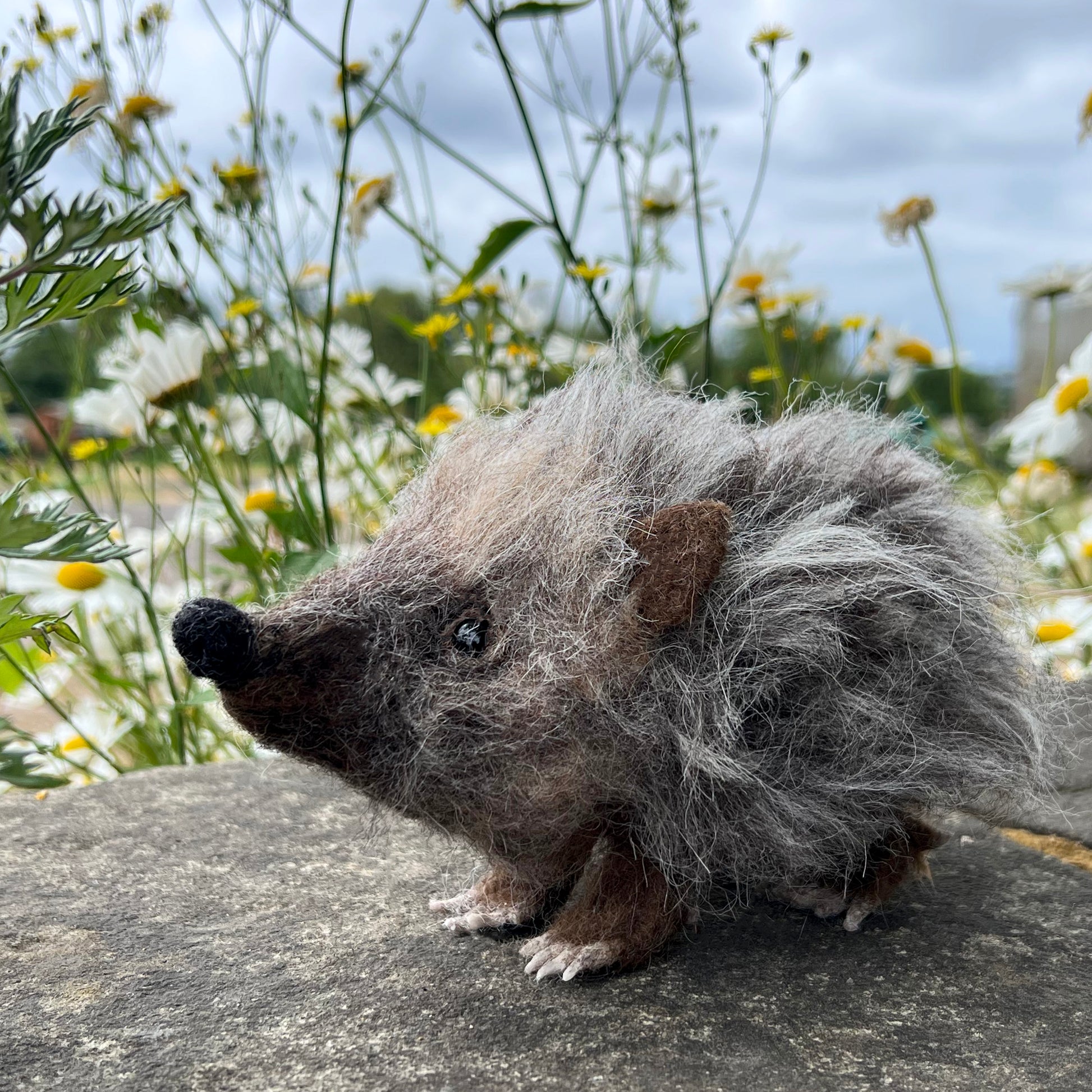 Hedgehog Needle Felt Material Pack - The Makerss