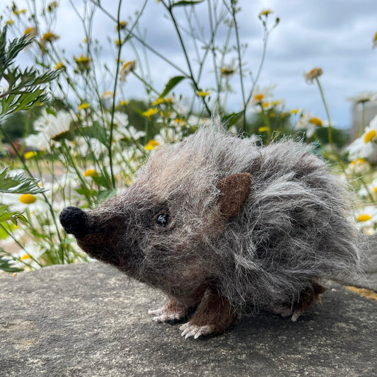 Hedgehog Needle Felt Material Pack - The Makerss