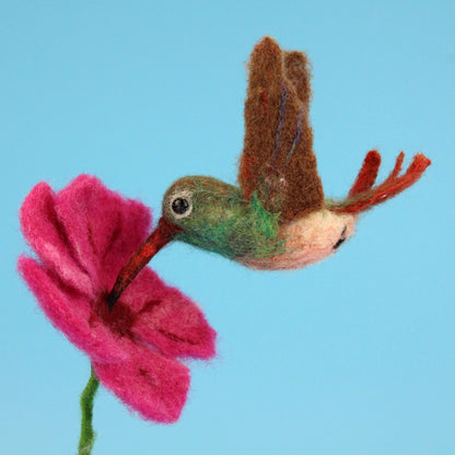 Hummingbird Workshop via Zoom - evenings on 5th and 6th August