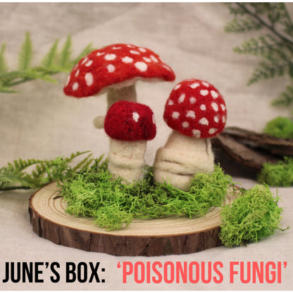 Makerss Box Subscription - Subscribe and Save 25% or more - The Makerss
