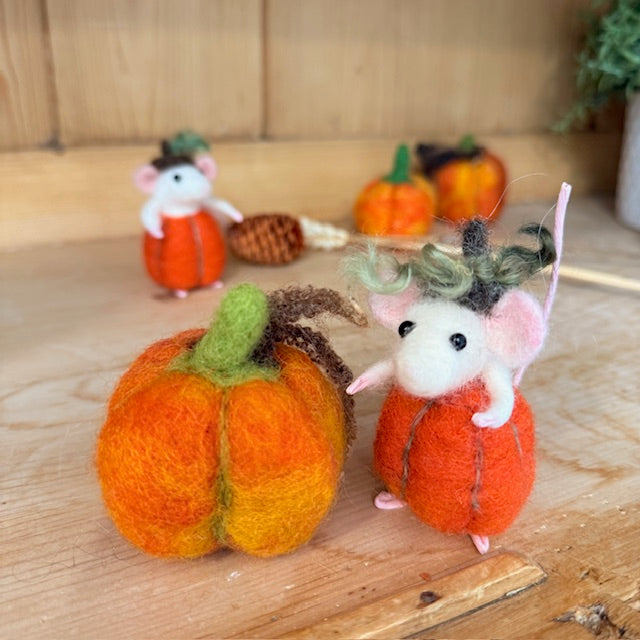 Pumpkin Mouse in person workshop 23rd September 6pm