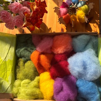Woolly Wonder Box - 250g of felting wool in 12 different colours - The Makerss