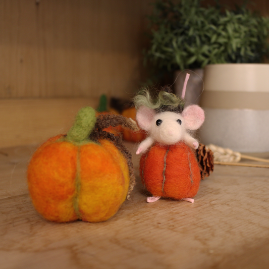 Needle Felted Pumpkin Mouse Workshop with Steffi Stern Saturday 18th October 10am - The Makerss