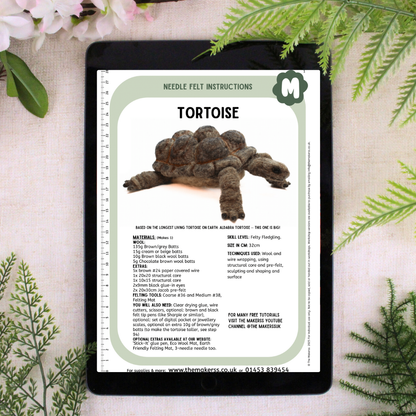 Giant Tortoise Needle Felt Kit