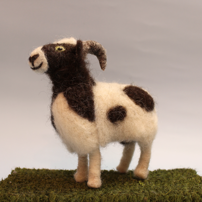 Jacob Sheep British Wool Small Kit - The Makerss