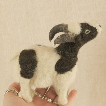 Jacob Sheep British Wool Small Kit