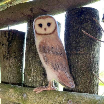 Large Barn Owl Needle Felt Pack - The Makerss