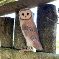 Needle Felted Large Barn Owl Zoom Webinar Workshop - The Makerss