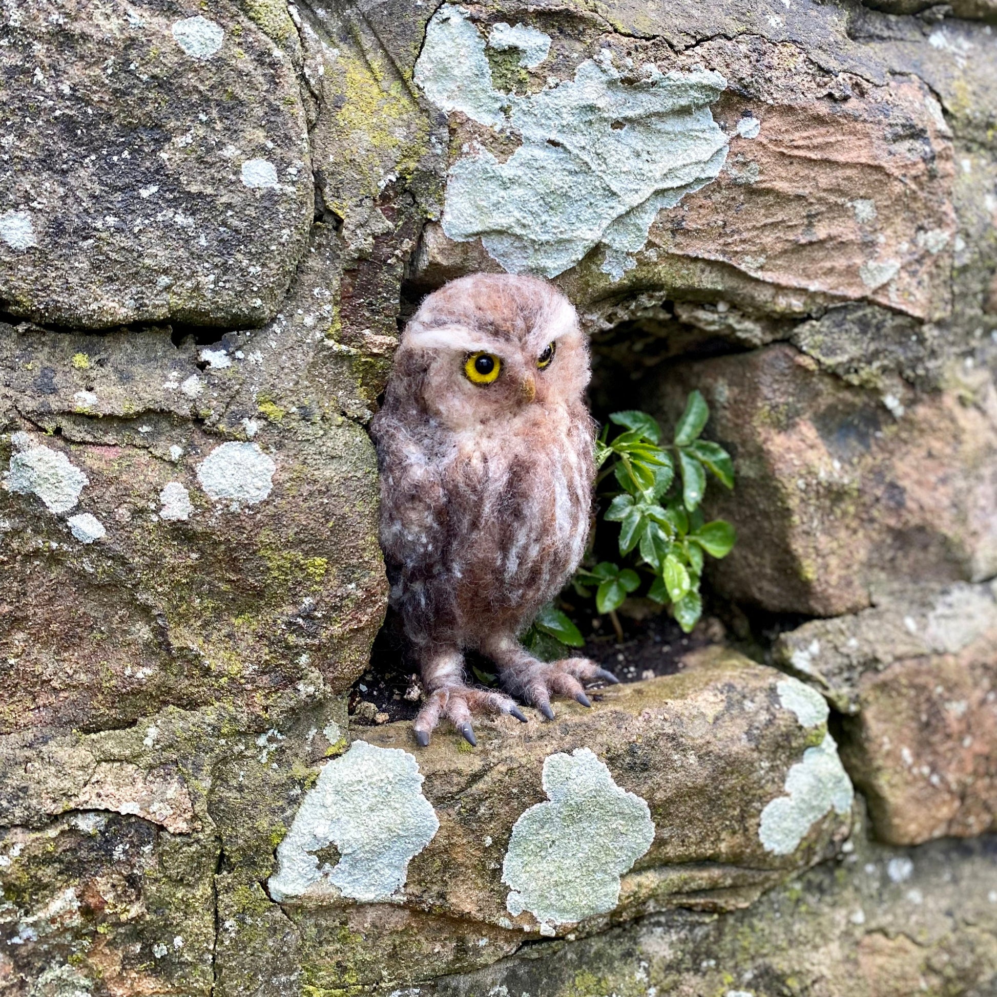 2026 Winter Needle Felting Retreat - 23-25 January - Realistic Owls - The Makerss