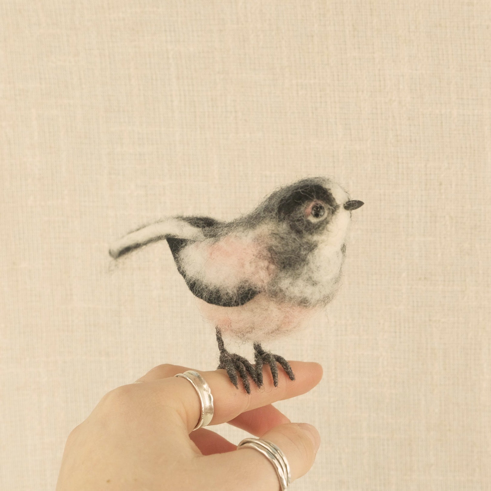 New! Long Tailed Tit Needle Felt Kit - The Makerss