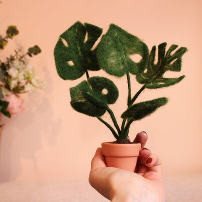Monstera Plant Small Needle Felt Kit - The Makerss
