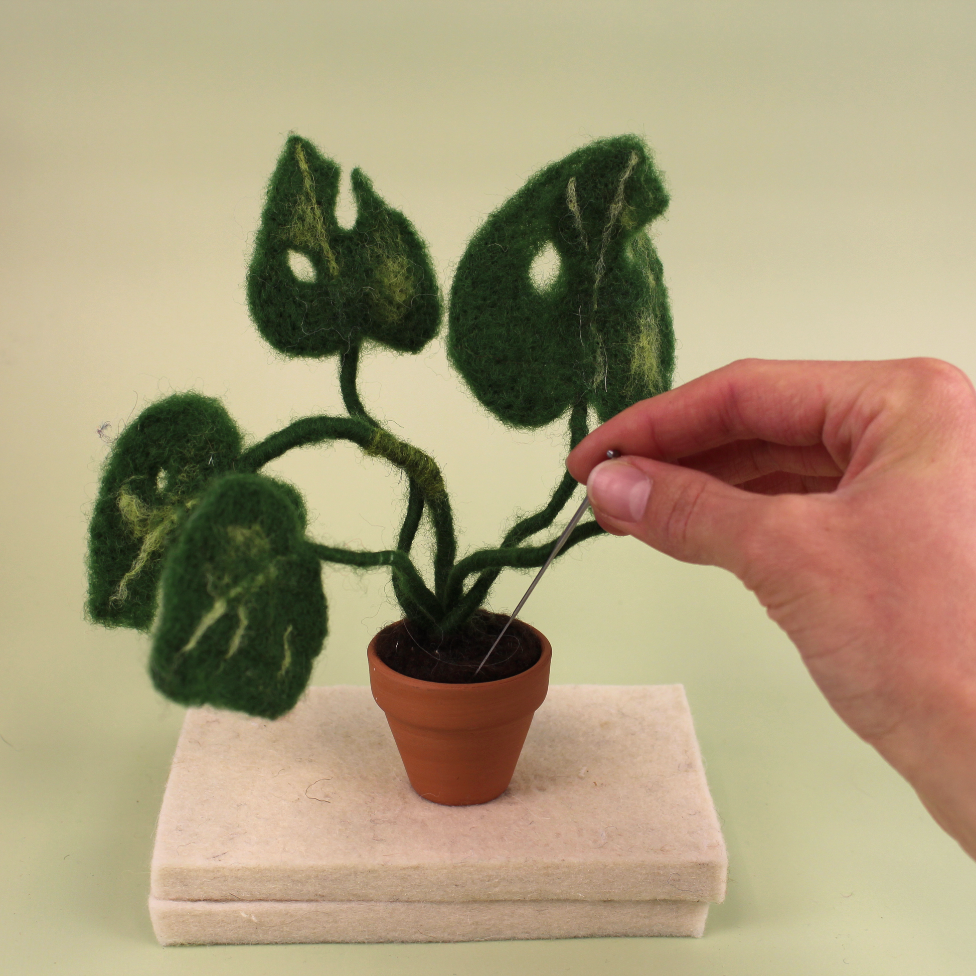 Monstera Plant Small Needle Felt Kit – The Makerss