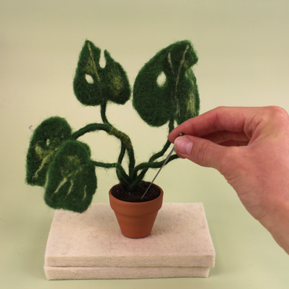 Monstera Plant Small Needle Felt Kit - The Makerss