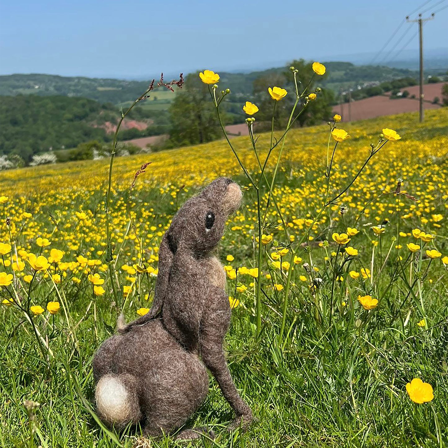 Moon Gazing Hare Needle Felt Pack - The Makerss