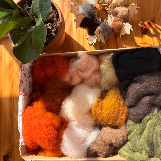 Woolly Wonder Box - 250g of felting wool in 12 different colours - The Makerss