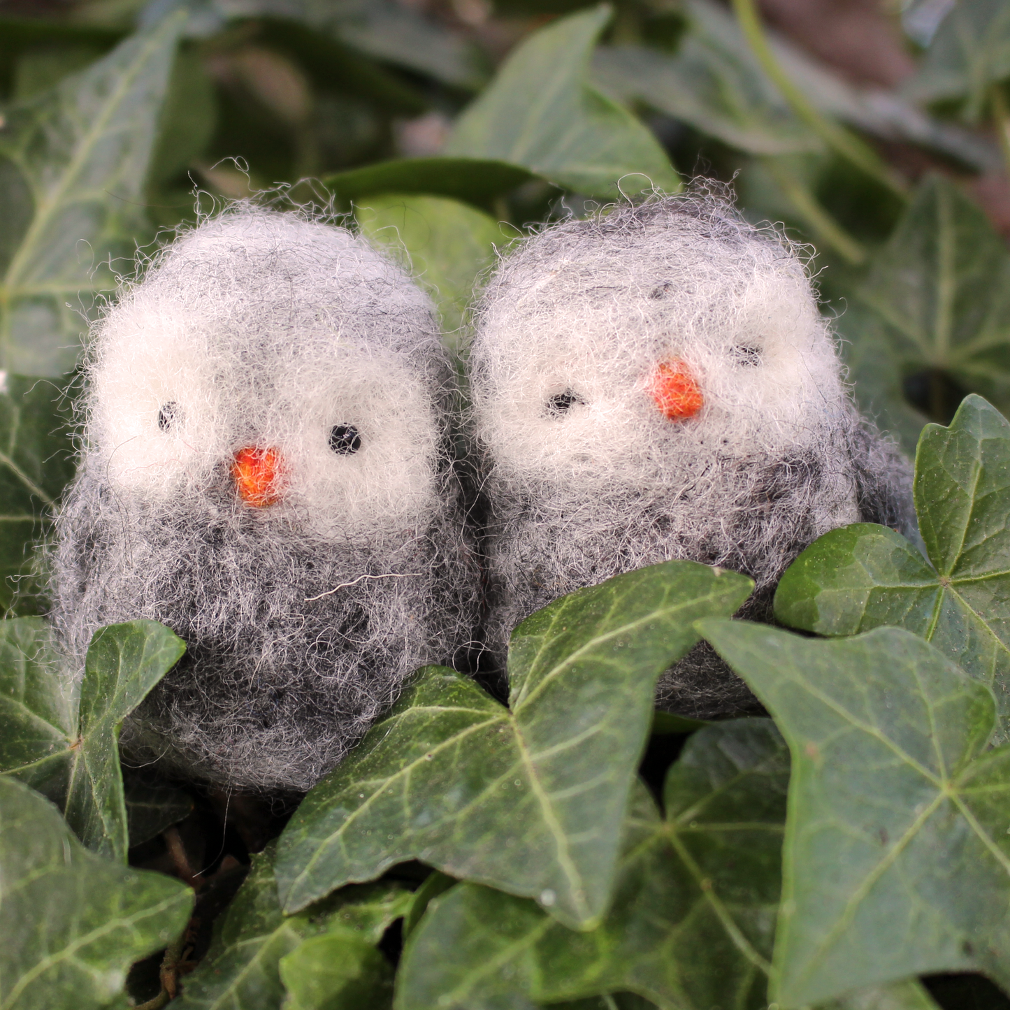 Fluffy Owls Small Needle Felt Kit