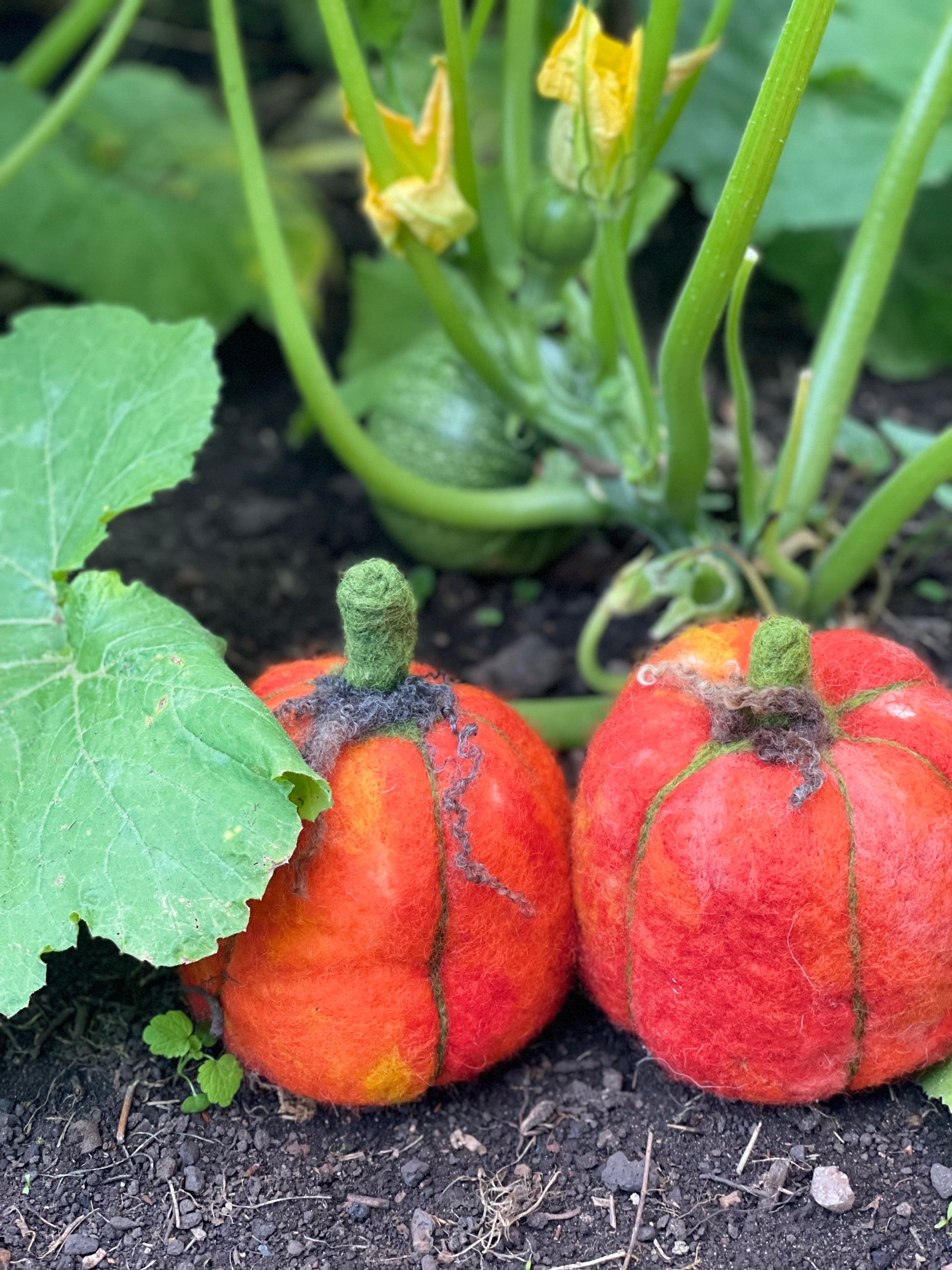 Pumpkin Needle Felt Pack - The Makerss