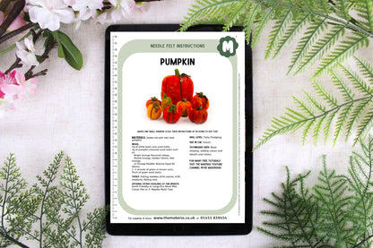 Pumpkin Needle Felt Pack - The Makerss