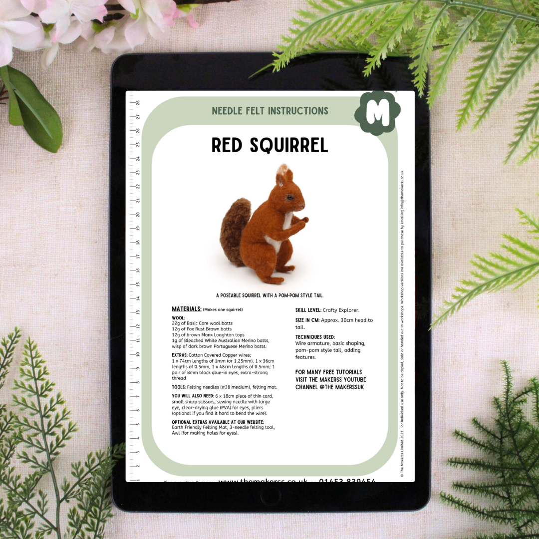 Red Squirrel Small Needle Felt Kit - The Makerss