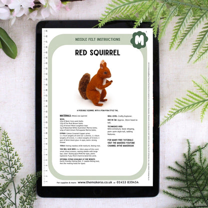 Red Squirrel Small Needle Felt Kit - The Makerss