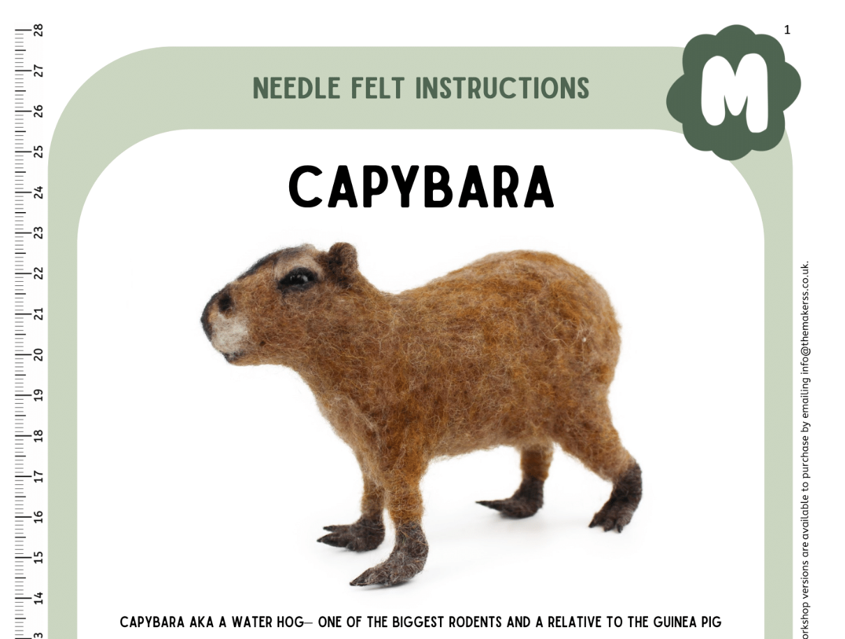 Capybara Instructions PDF - The Makerss