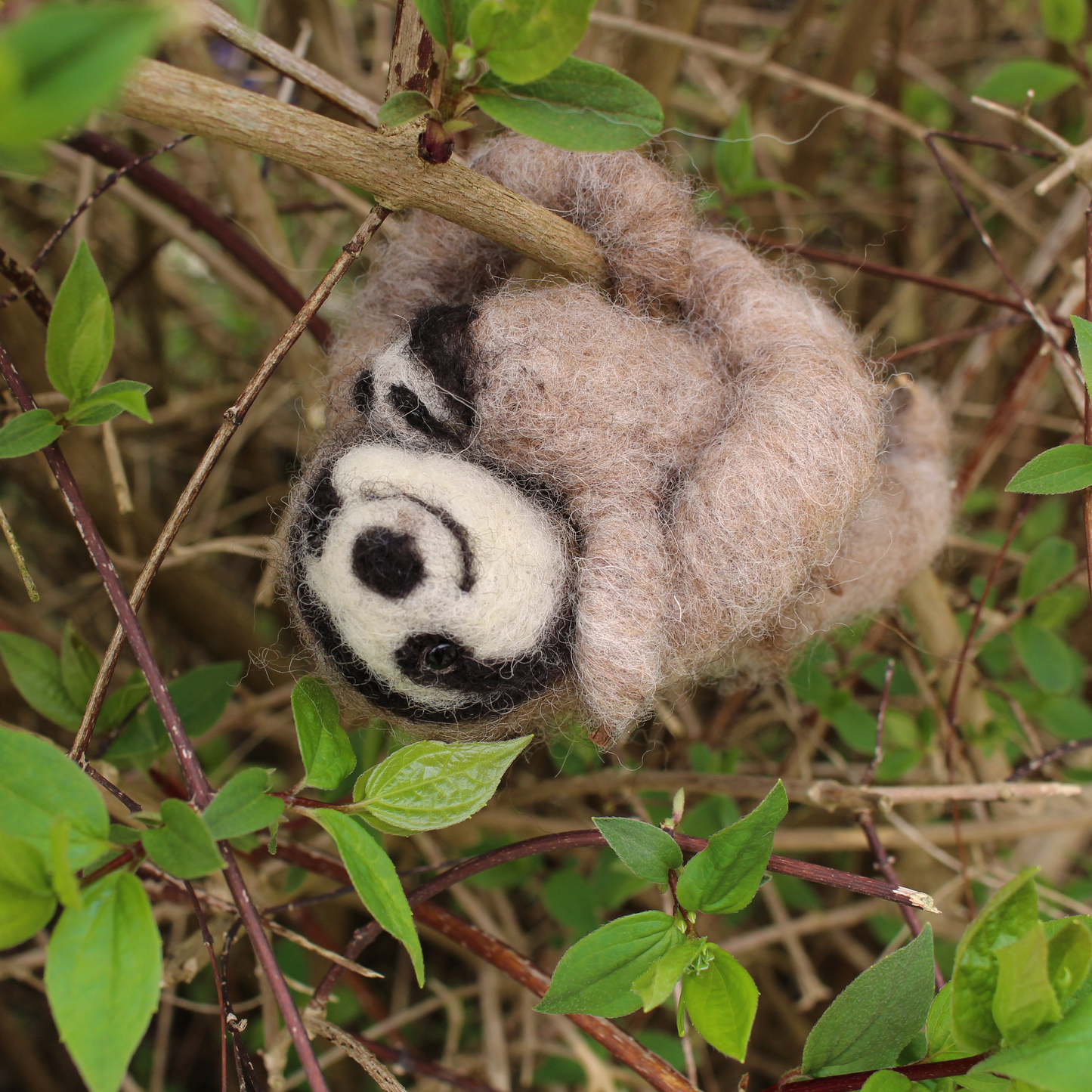 The Makerss Flock Membership