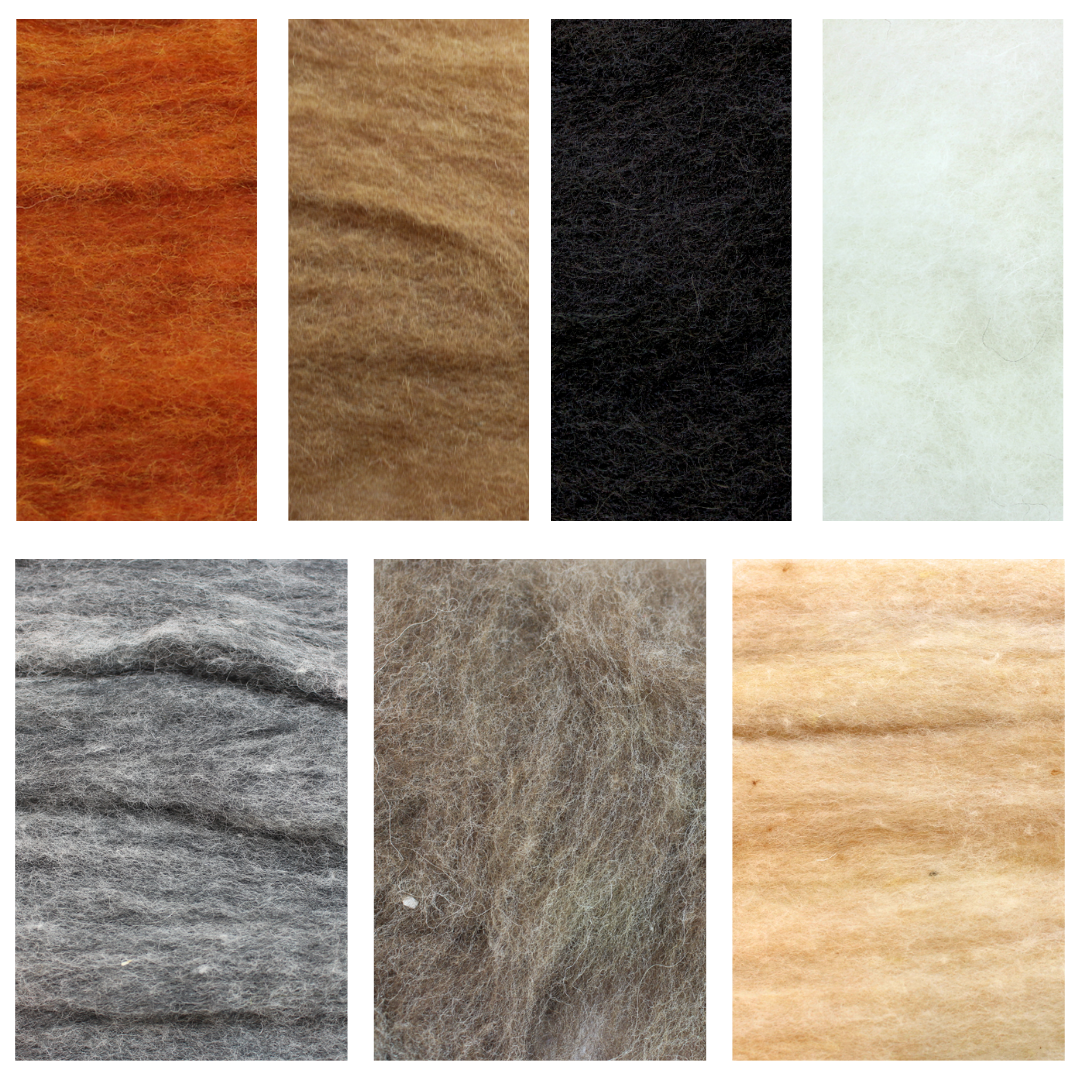 Woodland and Meadow Wool Mix - 7 colours x 15g - carded wool total 105g