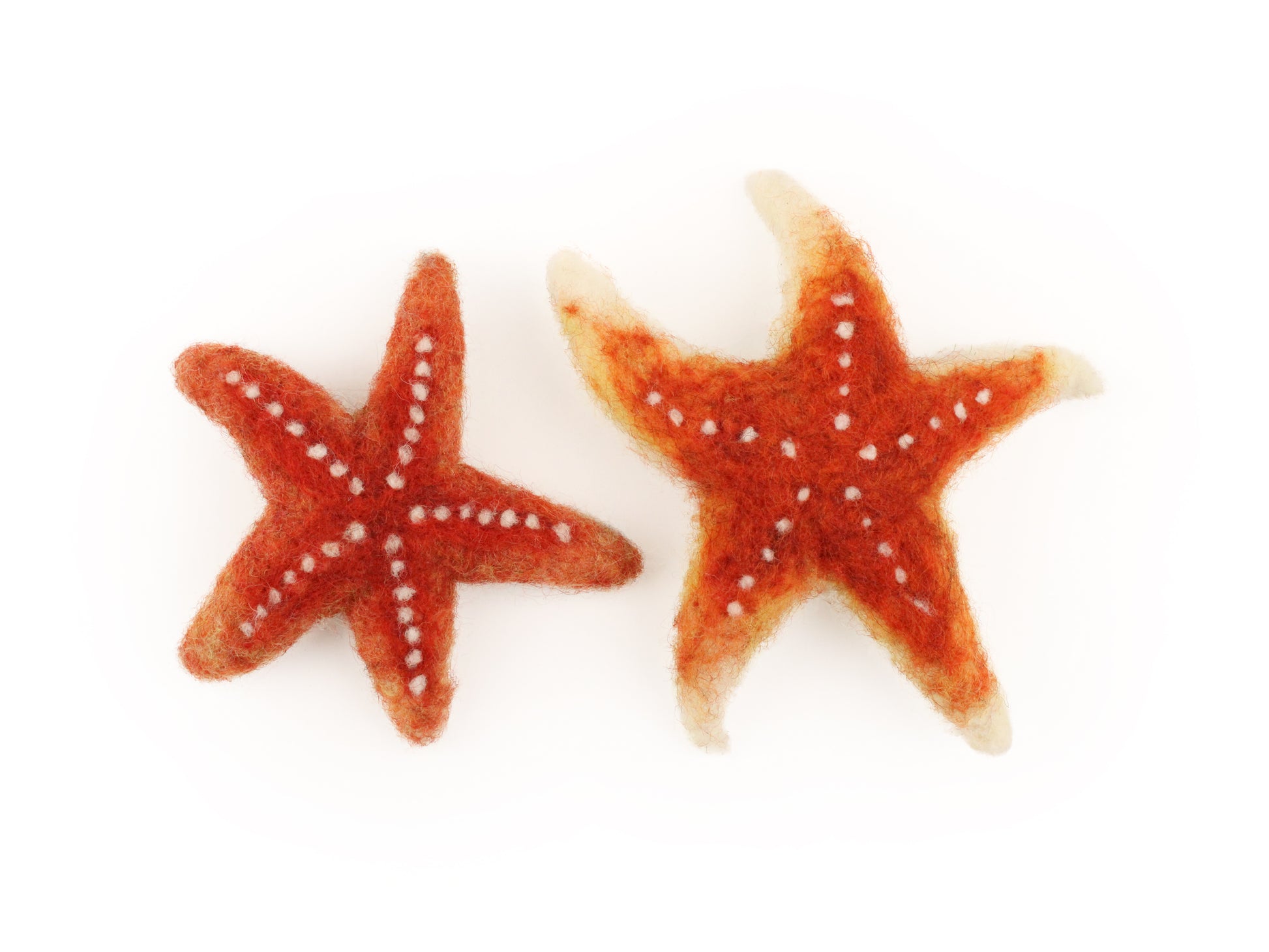 Starfish Small Needle Felt Kit (NEW for 2024) - The Makerss