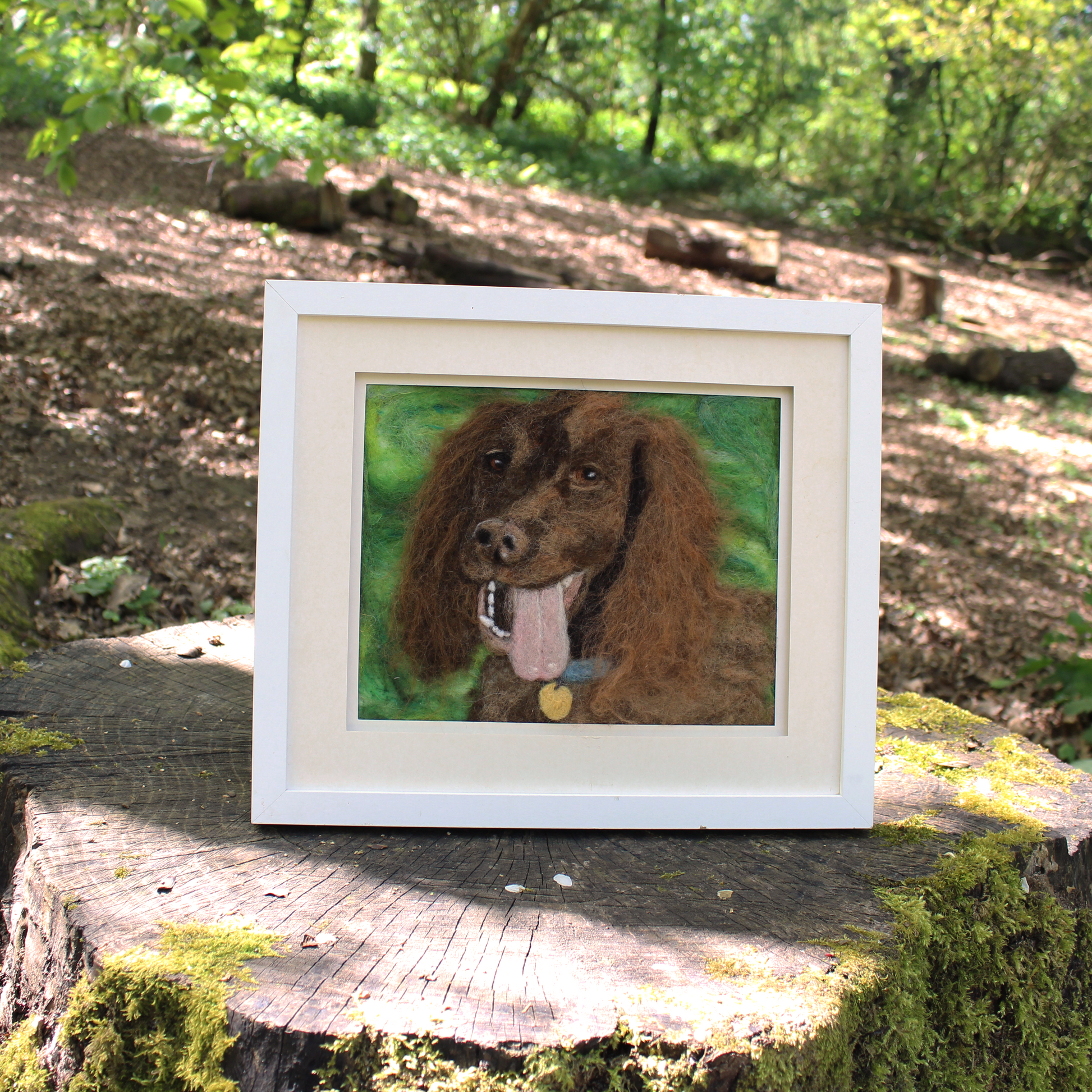 2026 Summer Needle Felting Retreat workshop - 10-12 July - Landscapes and Animal Portraits - The Makerss