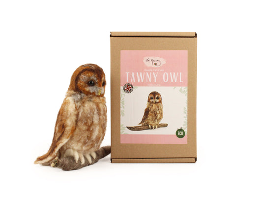 Tawny Owl Needle Felt Pack- with or without tools - The Makerss