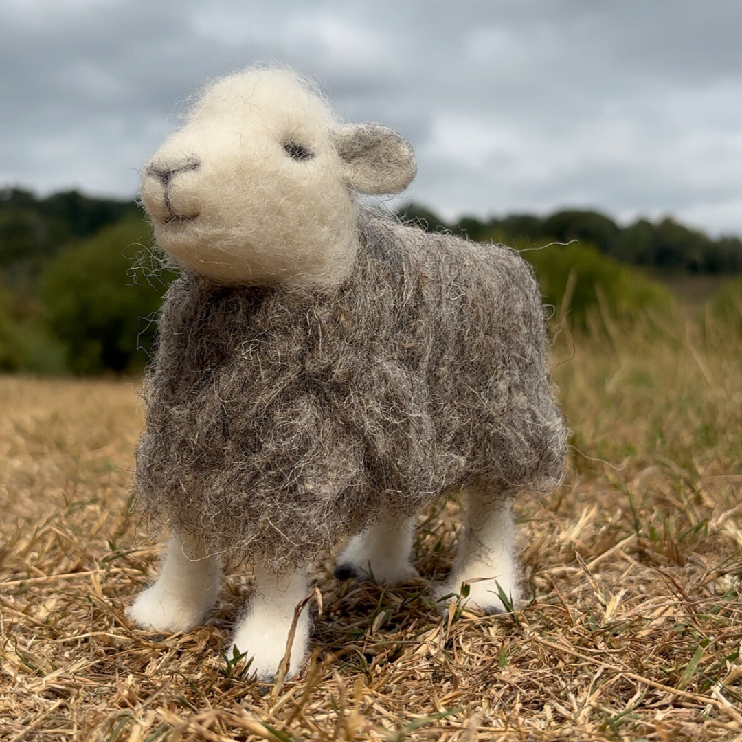 Herdwick Sheep Step-By-Step Video Tutorial and PDF Instructions - The Makerss