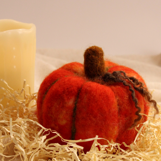 Pumpkin Needle Felt Pack - The Makerss