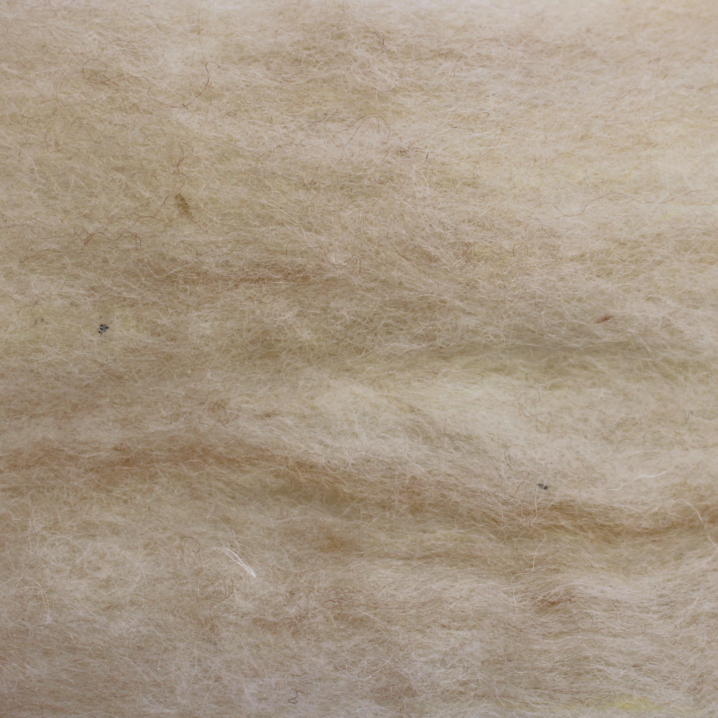 Variegated Cream natural carded New Zealand wool slivers - various weights - The Makerss