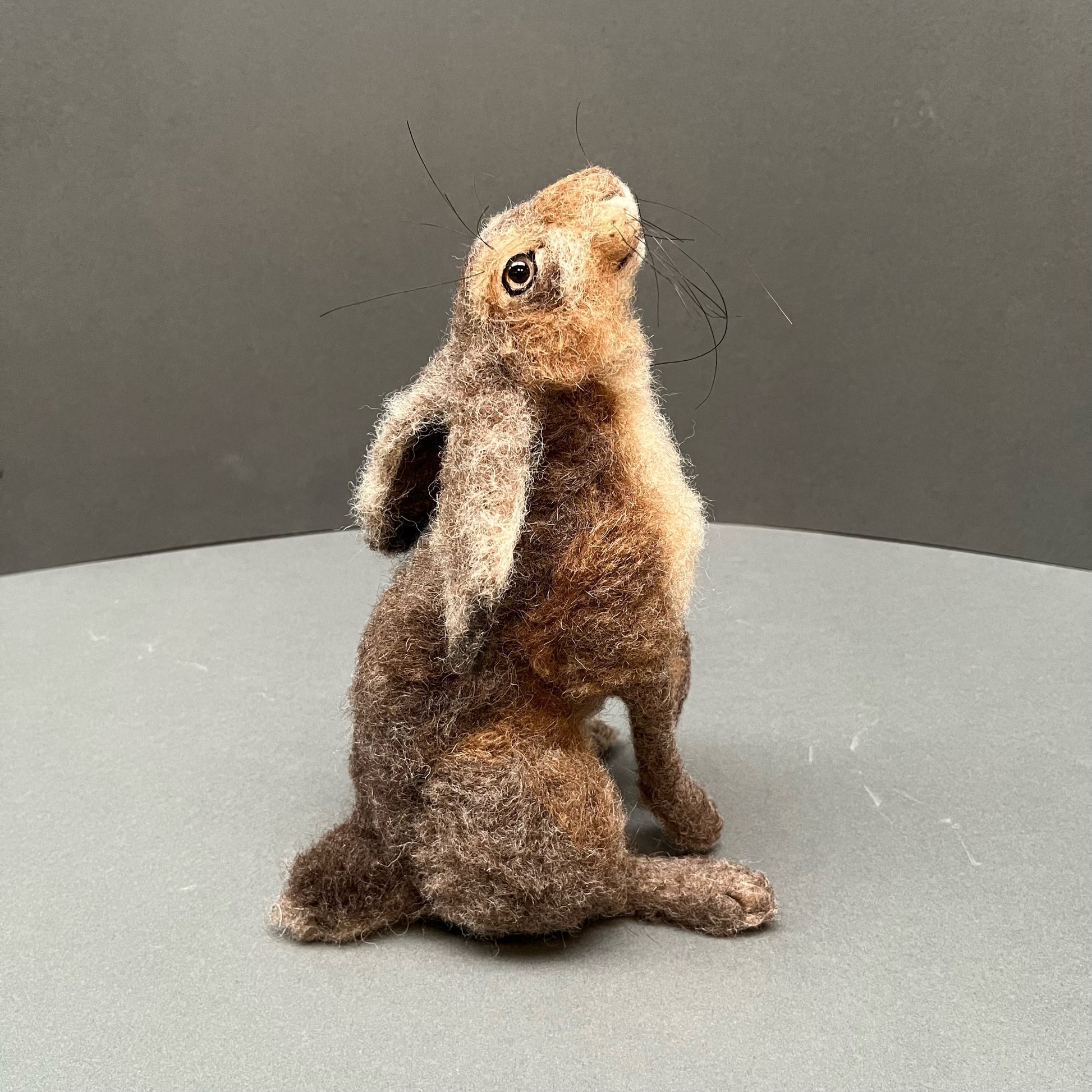 Moon Gazing Hare Needle Felting Workshop with Artist Agnese Davies Saturday 12th April - The Makerss