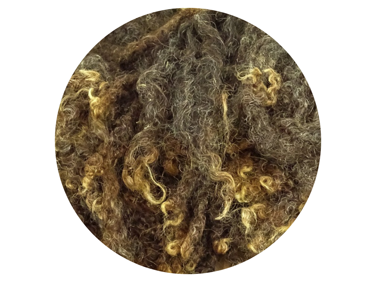Bluefaced Leicester Curls - dark brown and light brown small curls 12g - The Makerss