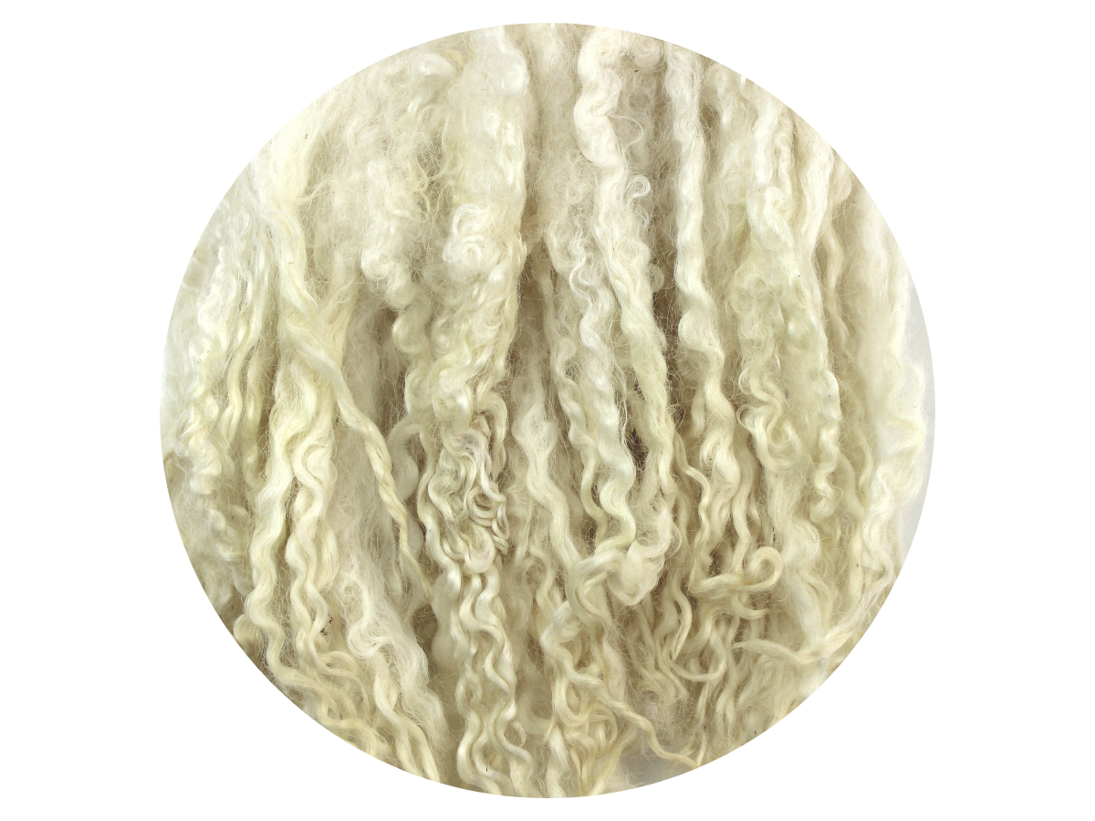 Bluefaced Leicester Curls - creamy white small curls 12g - The Makerss