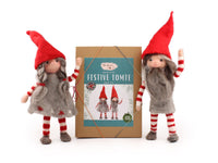 Festive Tomte Needle Felt Kit - makes one - The Makerss