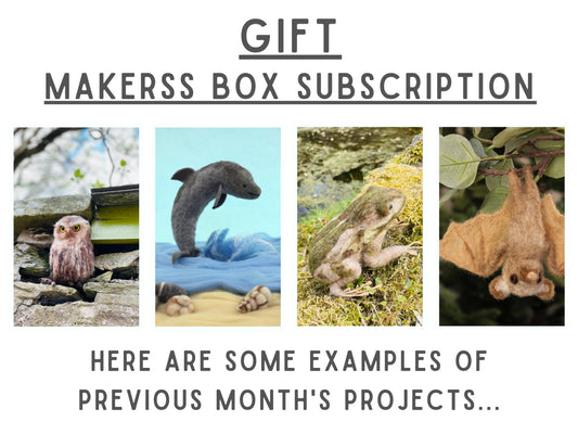 Gift Subscription - Makerss Box - The Makerss