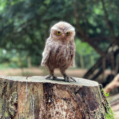 Little Owl Needle Felt Pack (Life Size) - with or without tools - The Makerss