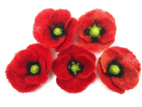 Poppy Instructions - PDF - The Makerss