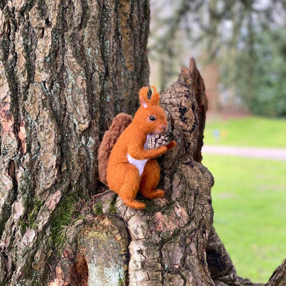 Red Squirrel Small Needle Felt Kit - The Makerss