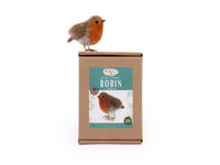 Robin Small Needle Felt Kit - The Makerss