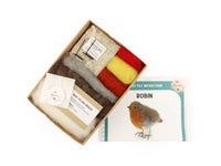 Robin Small Needle Felt Kit - The Makerss