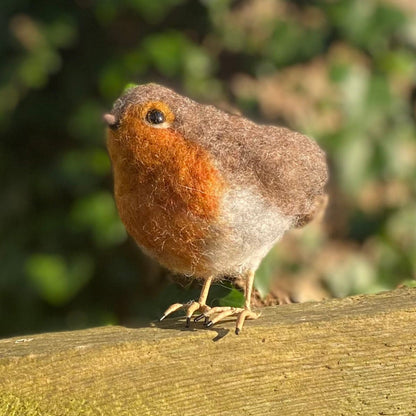 Robin Small Needle Felt Kit - The Makerss