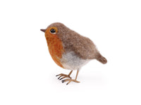Robin Small Needle Felt Kit - The Makerss