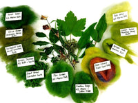 Green Rainbow Drops - dyed New Zealand Merino wool batts with coloured cotton flecks - various weights - The Makerss