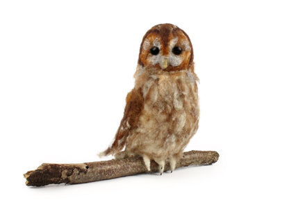 Tawny Owl Needle Felt Pack- with or without tools - The Makerss