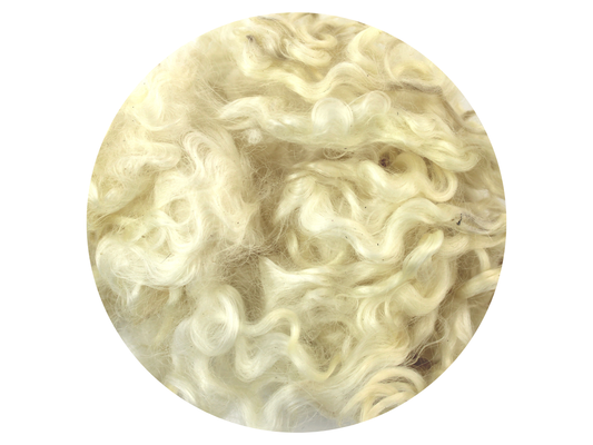 Teeswater Curls - creamy white 12g - The Makerss