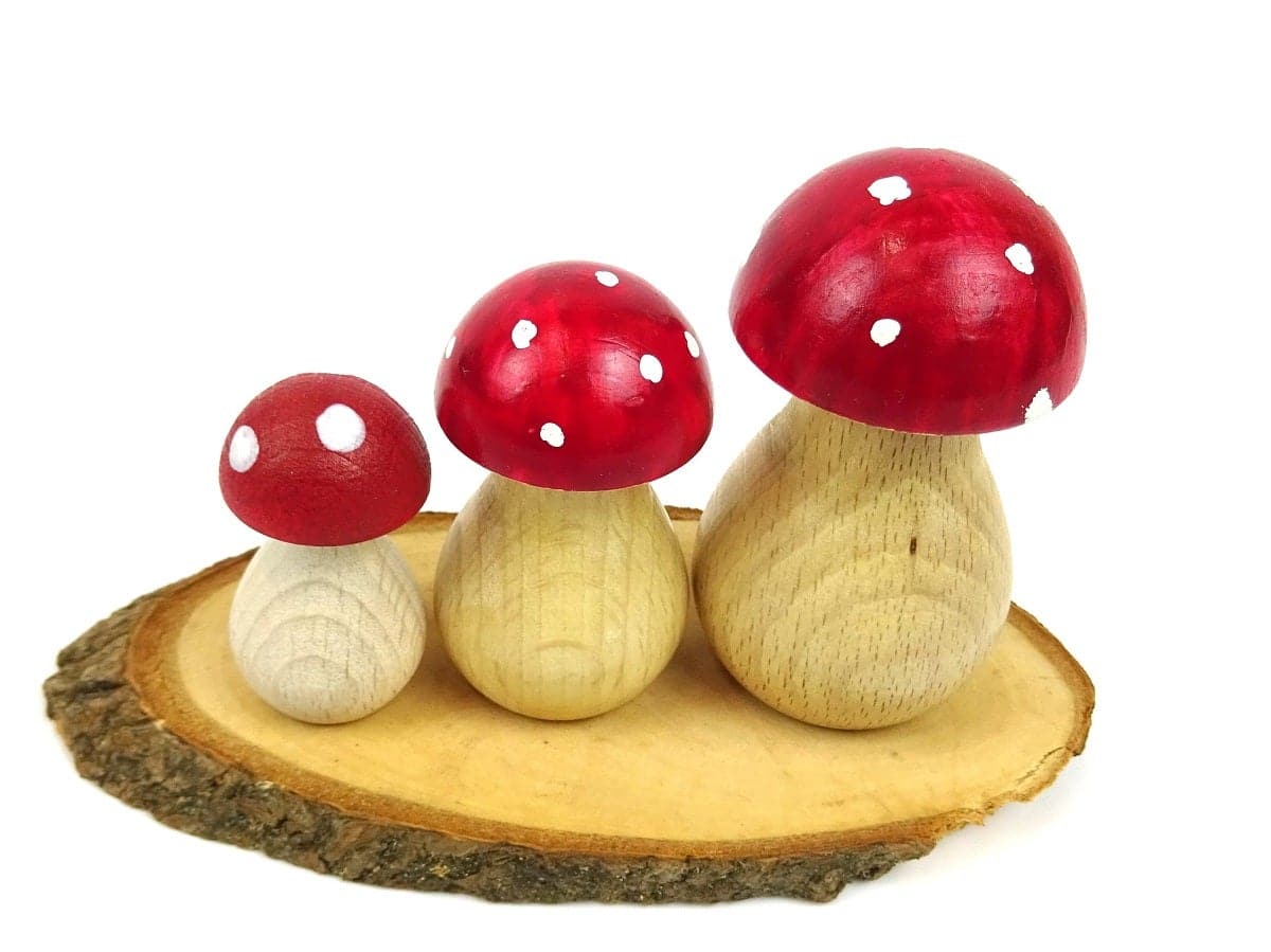 Wood Base / Slice - 3 sizes available - The Makerss